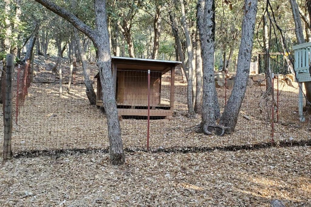 Pine Hills Cabin In Julian Exterior photo